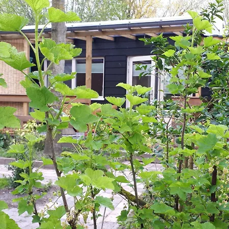 Het Molensteegje Bed & Breakfast Andijk