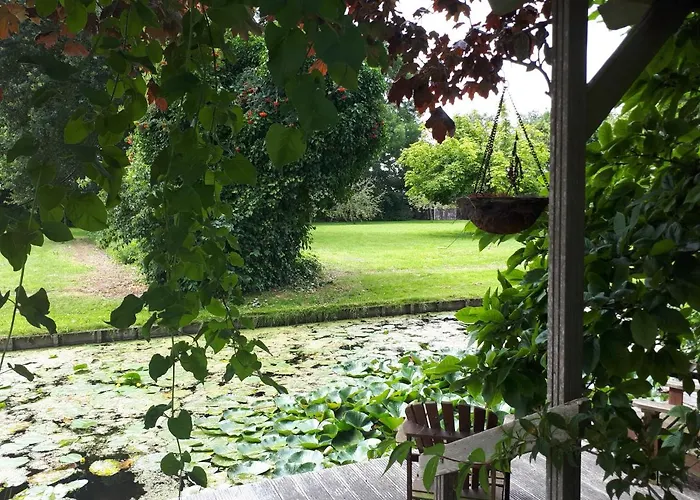 Het Molensteegje 4* Andijk