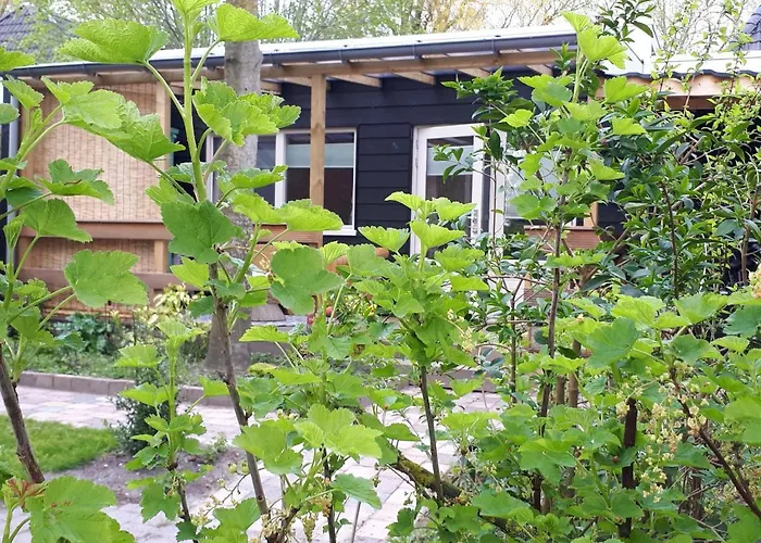 Het Molensteegje Bed & Breakfast Andijk